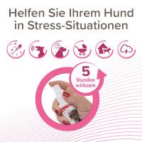 BEAPHAR CaniComfort® Wohlfühl-Spray für Hunde