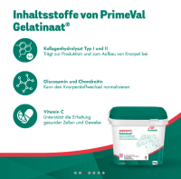 BEAPHAR PrimeVal Gelatinaat® Puder