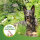 BEAPHAR Zecken- und Flohschutz Spray für Hunde, 150 ml