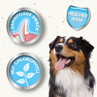 Hunde - Snack BEAPHAR Atem-Frisch, 150 g