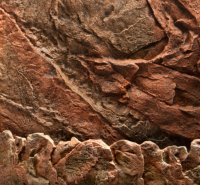 JUWEL Aquarium - Rückwand "Cliff Dark", 60...