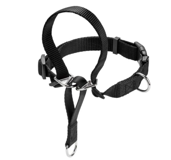 Hunter Ausbildungsgeschirr Follow Me, M