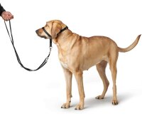 Hunter Ausbildungsgeschirr Follow Me, M