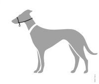 Hunter Ausbildungsgeschirr Follow Me, M