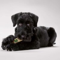 HUNTER Trainer Snack Dummy, grau, 25 cm