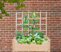 ESSCHERT DESIGN Hochbeet Rankgitter, natur