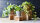 ESSCHERT DESIGN Blumentopfständer aus Bambus