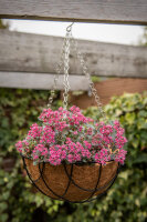 ESSCHERT DESIGN Hängekorb aus Metall, schwarz