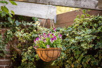 ESSCHERT DESIGN Hängekorb aus Metall, schwarz