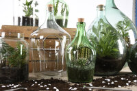 ESSCHERT DESIGN Terrarium-Pflanzgefäß mit Werkzeug