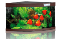 JUWEL Aquarium Trigon 350 inkl. LED-Beleuchtung, Pumpe, Filter und Heizer, dunkles Holz