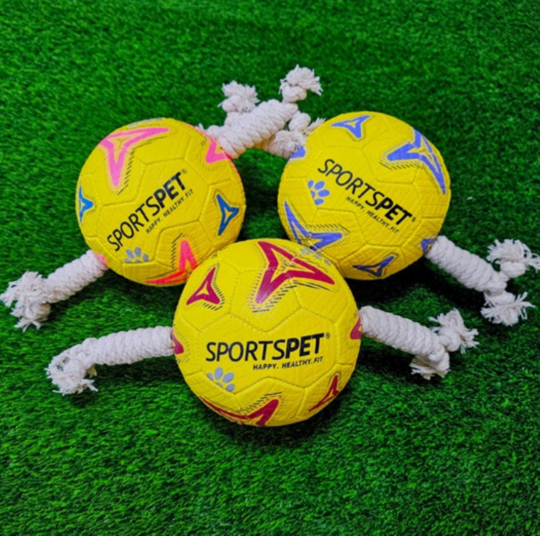 SPORTSPET Football für Hunde