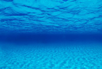 SEAVIEW Doppelseitiger Aquarien - Rückwandposter...