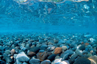 SEAVIEW Doppelseitiger Aquarien - Rückwandposter...