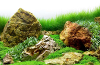 SEAVIEW Doppelseitiger Aquarien - Rückwandposter...