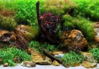 SEAVIEW Doppelseitiger Aquarien - Rückwandposter...