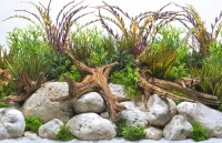 SEAVIEW Doppelseitiger Aquarien - Rückwandposter "Coastalhues / Crispriver ", H: 45,7 cm