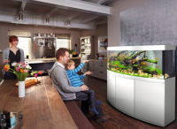 JUWEL Aquarium Vision 450 inkl. LED-Beleuchtung, Pumpe, Filter und Heizer, weiß