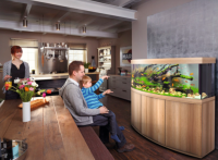 JUWEL Aquarium Vision 450 inkl. LED-Beleuchtung, Pumpe, Filter und Heizer, helles Holz