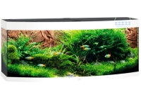 JUWEL Aquarium Vision 450 inkl. LED-Beleuchtung, Pumpe, Filter und Heizer
