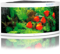 JUWEL Aquarium Trigon 350 inkl. LED-Beleuchtung, Pumpe, Filter und Heizer