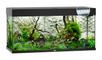 JUWEL Aquarium Rio 180 inkl. LED-Beleuchtung, Pumpe, Filter und Heizer, schwarz