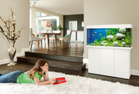 JUWEL Aquarium Rio 180 inkl. LED-Beleuchtung, Pumpe, Filter und Heizer