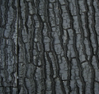 JUWEL Aquarium - Rückwand STR 600...