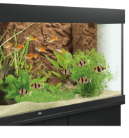 JUWEL Aquarium - Filterverkleidung "Stone Clay", 55,5 x 18,6 x 1 cm