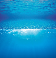 JUWEL Aquarium - Rückwandposter 2, S, 60 x 30 cm