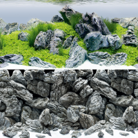 JUWEL Aquarium - Rückwandposter 4, XL, 150 x 60 cm