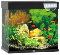 JUWEL Aquarium Lido 120 inkl. LED-Beleuchtung, Pumpe,...