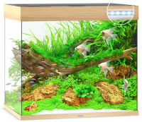 JUWEL Aquarium Lido 200 inkl. LED-Beleuchtung, Pumpe, Filter und Heizer, helles Holz