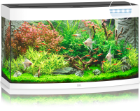 JUWEL Aquarium Vision 180 inkl. LED-Beleuchtung, Pumpe, Filter und Heizer, weiß