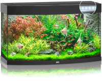 JUWEL Aquarium Vision 180 inkl. LED-Beleuchtung, Pumpe,...