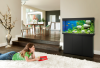 JUWEL Aquarium Rio 240 inkl. LED-Beleuchtung, Pumpe, Filter und Heizer