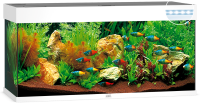 JUWEL Aquarium Rio 240 inkl. LED-Beleuchtung, Pumpe, Filter und Heizer