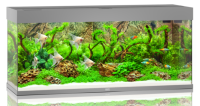 JUWEL Aquarium Rio 240 inkl. LED-Beleuchtung, Pumpe, Filter und Heizer