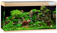 JUWEL Aquarium Rio 350 inkl. LED-Beleuchtung, Pumpe, Filter und Heizer
