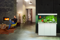 JUWEL Aquarium Rio 350 inkl. LED-Beleuchtung, Pumpe, Filter und Heizer