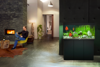 JUWEL Aquarium Rio 450 inkl. LED-Beleuchtung, Pumpe, Filter und Heizer