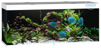 JUWEL Aquarium Rio 450 inkl. LED-Beleuchtung, Pumpe, Filter und Heizer
