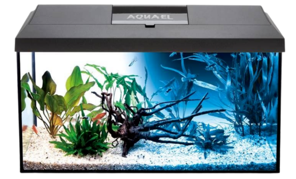AQUAEL Aquarium - Set Leddy 60 Day & Night 2.0, schwarz