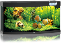 JUWEL Aquarium Vision 260 inkl. LED-Beleuchtung, Pumpe, Filter und Heizer, schwarz