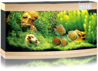 JUWEL Aquarium Vision 260 inkl. LED-Beleuchtung, Pumpe, Filter und Heizer, helles Holz