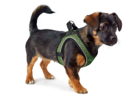 HUNTER Hunde-Geschirr Hilo Comfort, M-L, lindgrün