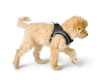 HUNTER Hunde-Geschirr Hilo Comfort, M, anthrazit
