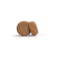 Hunde - Trockenfutter GREEN PETFOOD Veggie Dog mit roten...