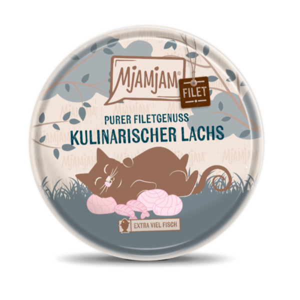 Katzen - Nassfutter MjAMjAM Purer Filetgenuss - kulinarischer Lachs, 80 g