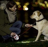 FLEXI LED Lighting System, schwarz